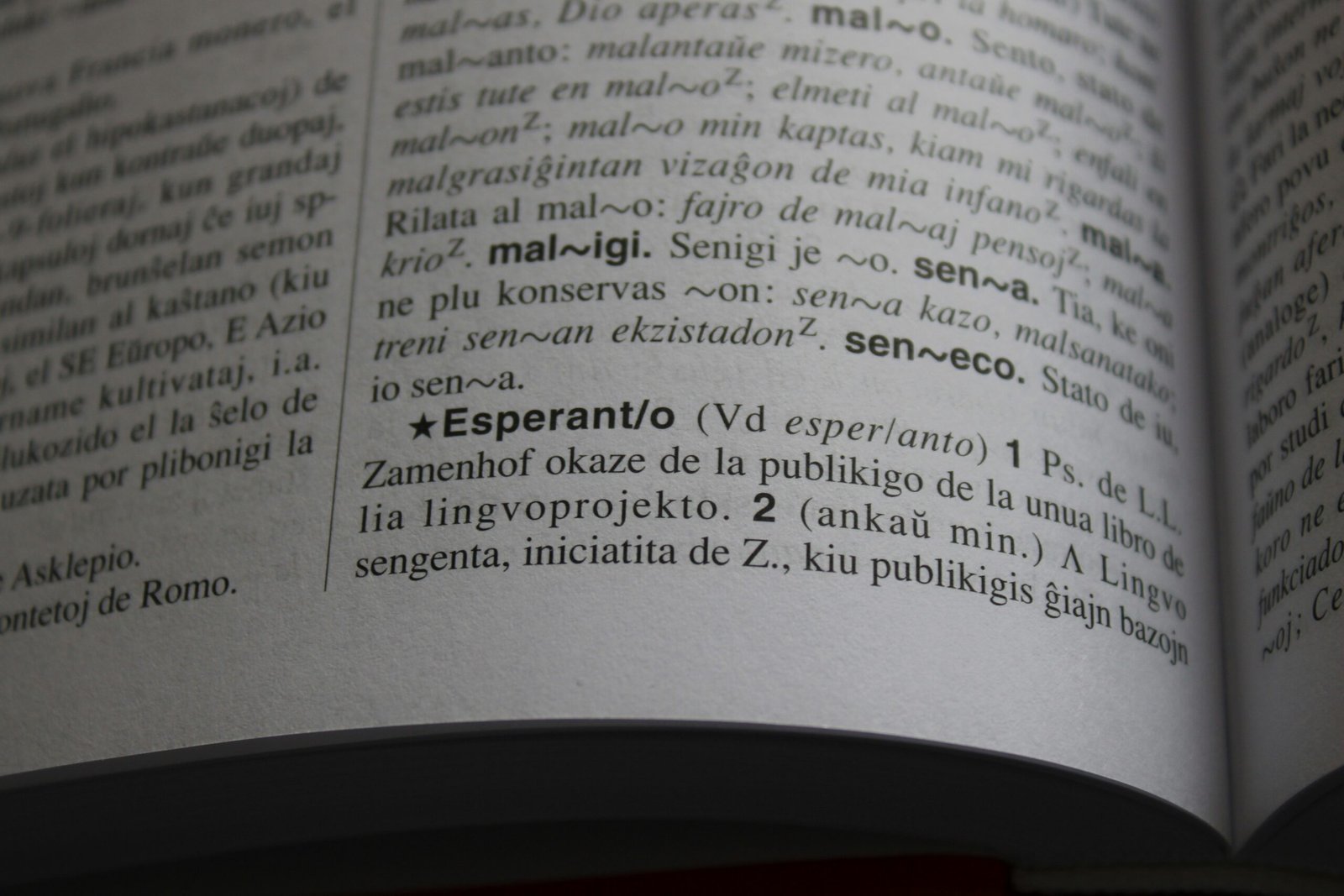 What Are Constructed Languages (Conlangs)?