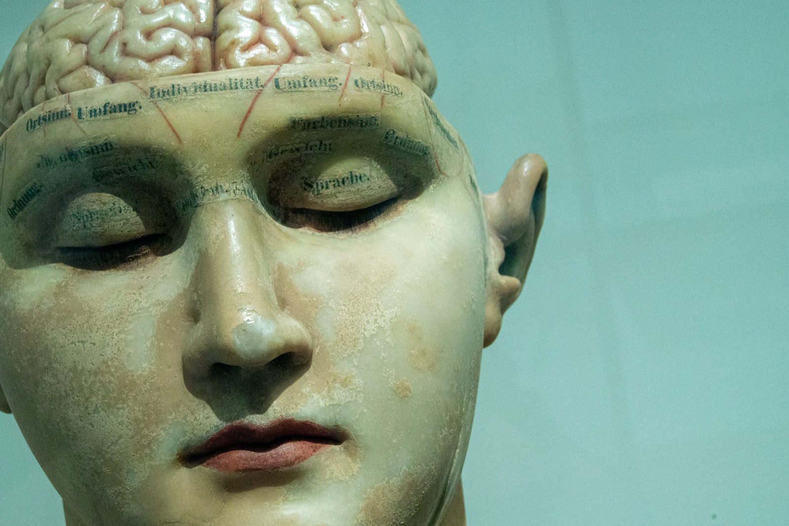 Does AI Think in Language?
